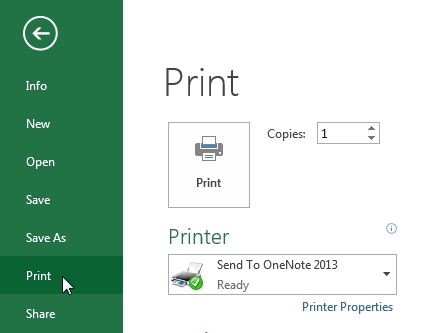 excel 2013 print selection